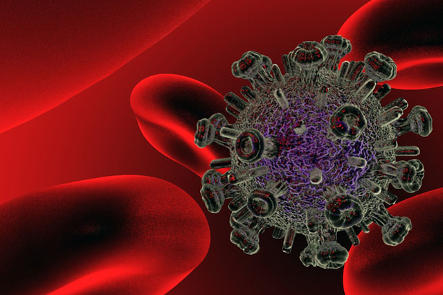 SEFH offers new approaches to pharmaceutical care for HIV